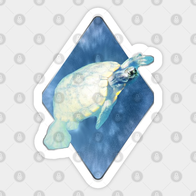 Psychedelic Space Turtle Sticker by RoxanneG